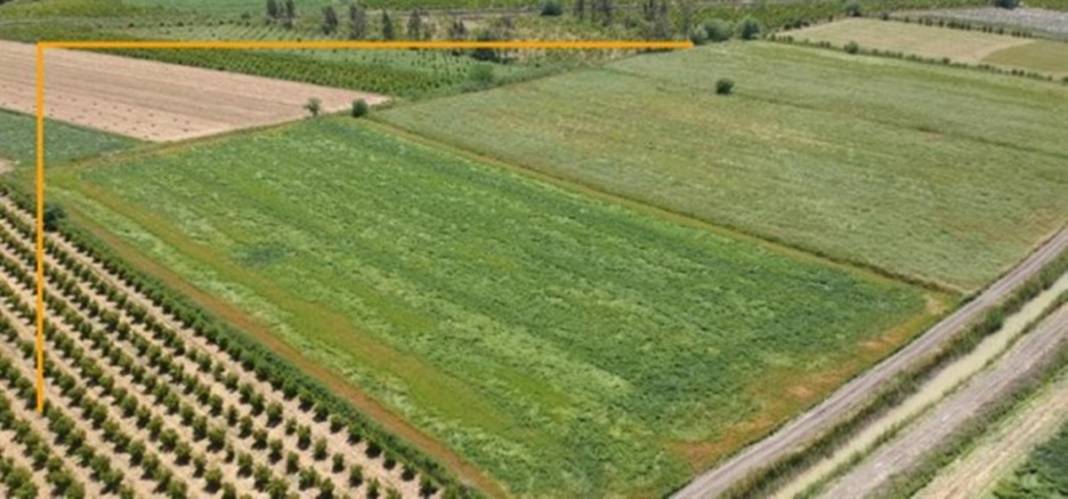 Türkiye'den karış karış tarım arazisi alan Bill Gates açıkladı! Türkiye'den arazi almasının nedeni bakın ne çıktı... 8